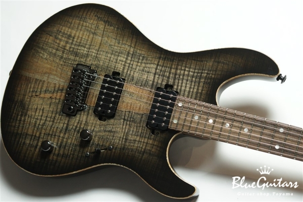FUTURA-S HH LTD / Alder Back Spalted Maple Top Body - Transparent Black